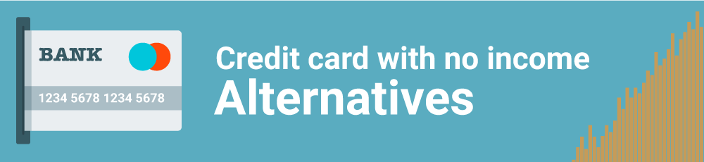 Credit Card with No Income Proof