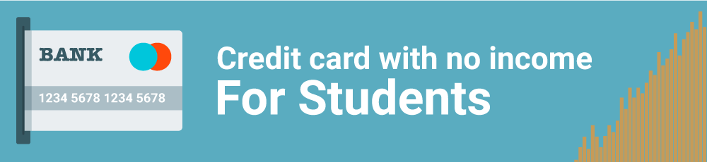 Credit Card with No Income Proof