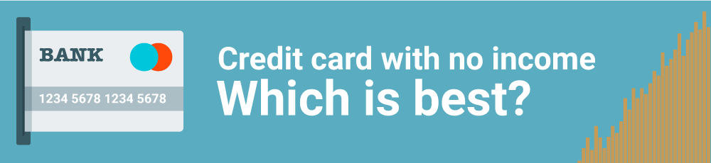 Credit Card with No Income Proof